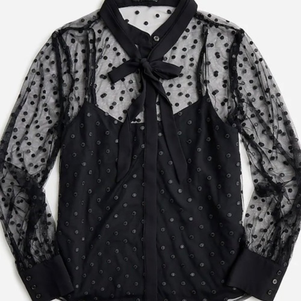 J. Crew Tie-neck Long-sleeve Top in Dotted Tulle SZ 0